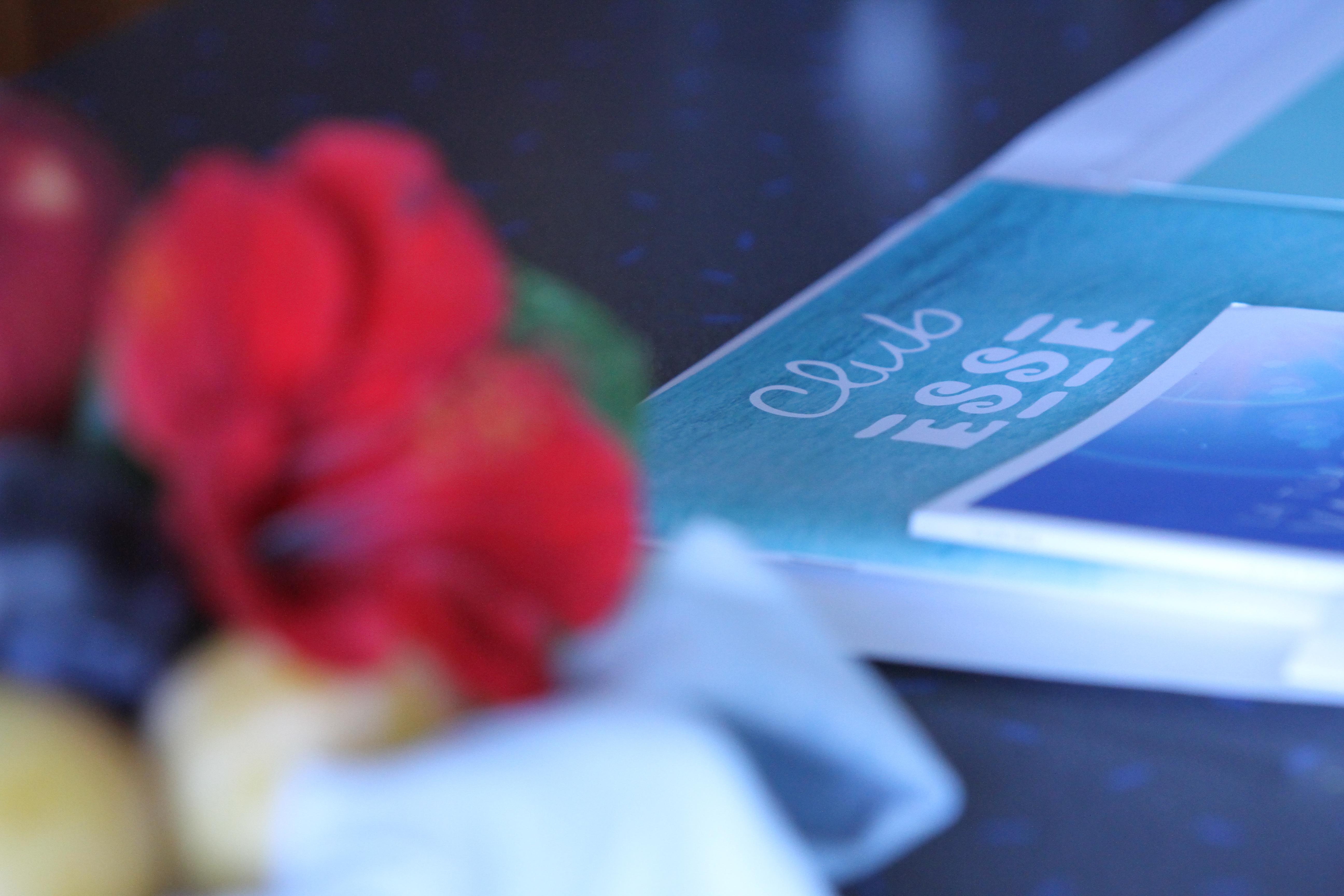 Club Esse Roccaruja Hotel Stintino Ngoại thất bức ảnh